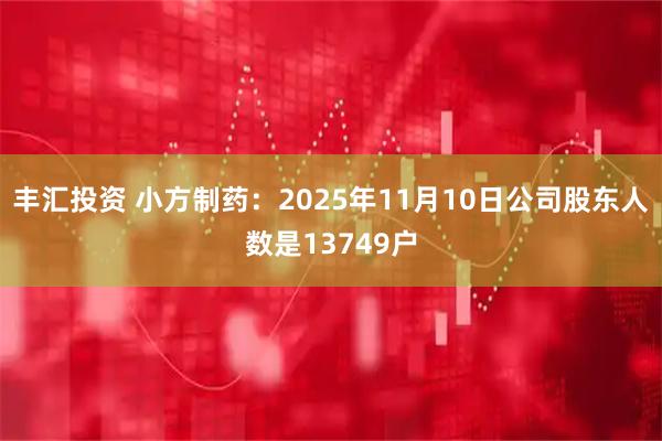 丰汇投资 小方制药：2025年11月10日公司股东人数是13749户