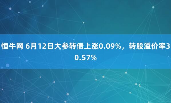 恒牛网 6月12日大参转债上涨0.09%，转股溢价率30.57%